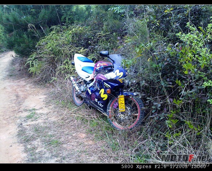 20110403678.jpg