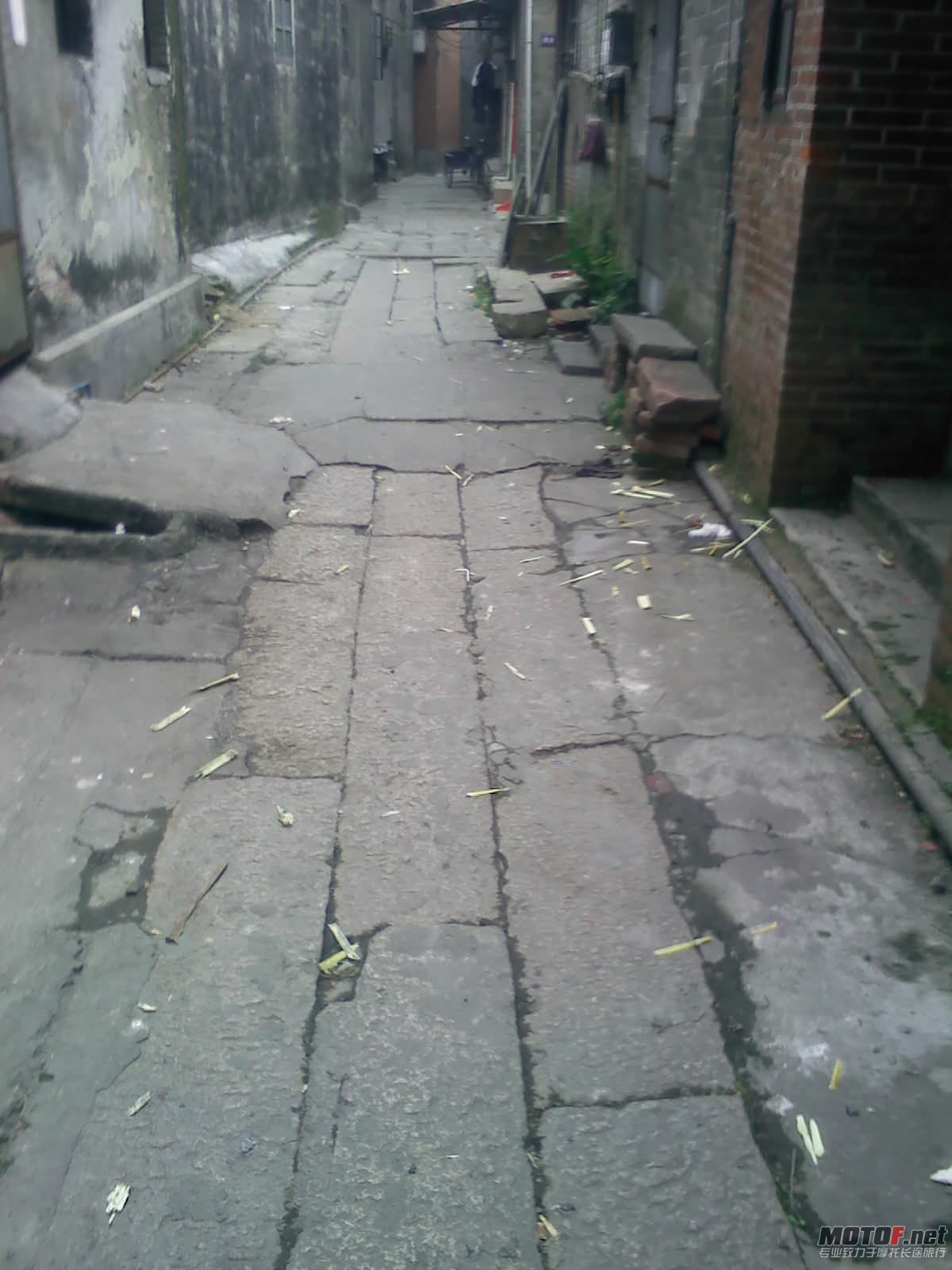 110405014.jpg