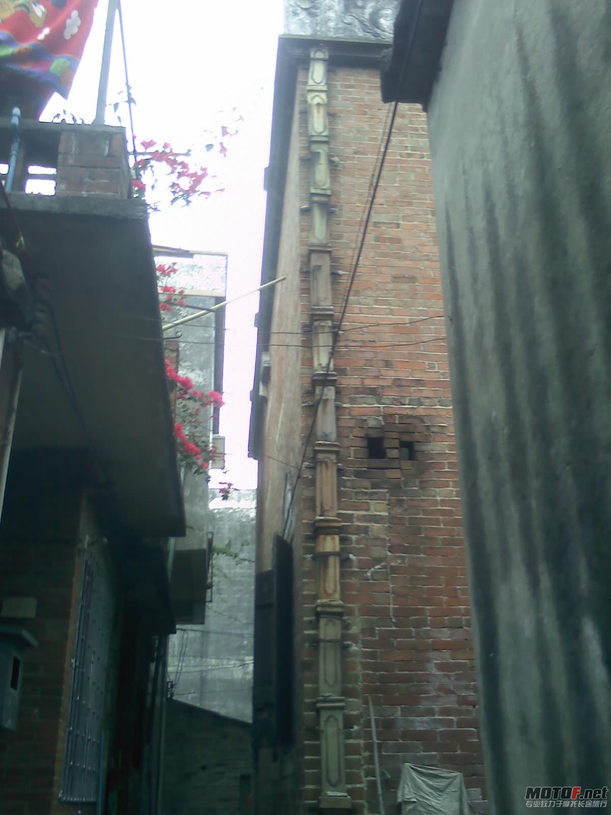 110405051.jpg