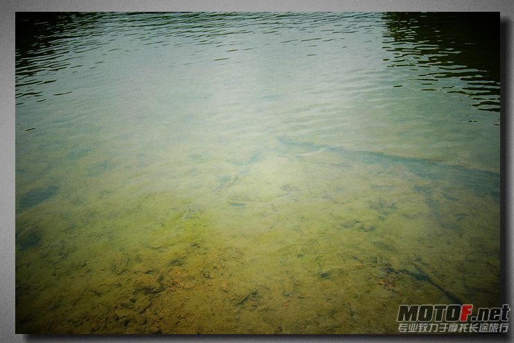 DSC_1515.jpg