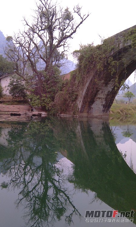 IMAG1157.jpg