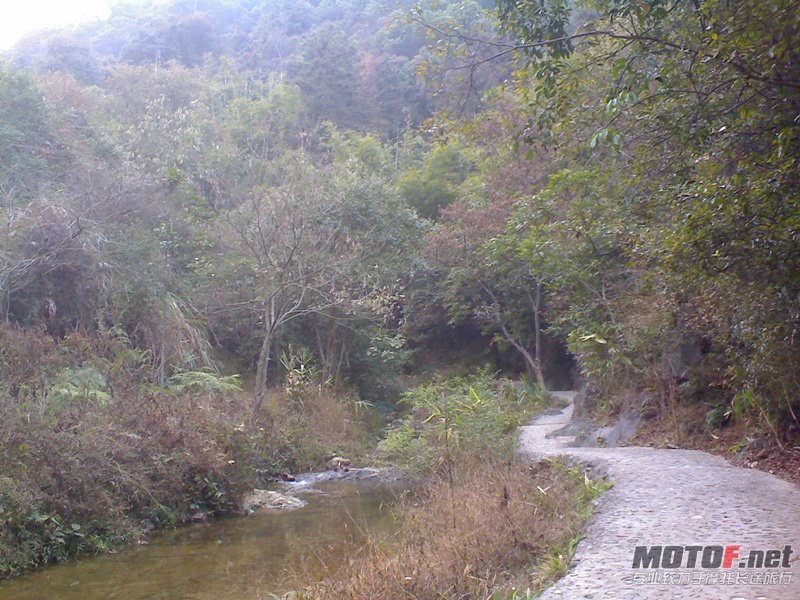 DSC00060_副本.jpg