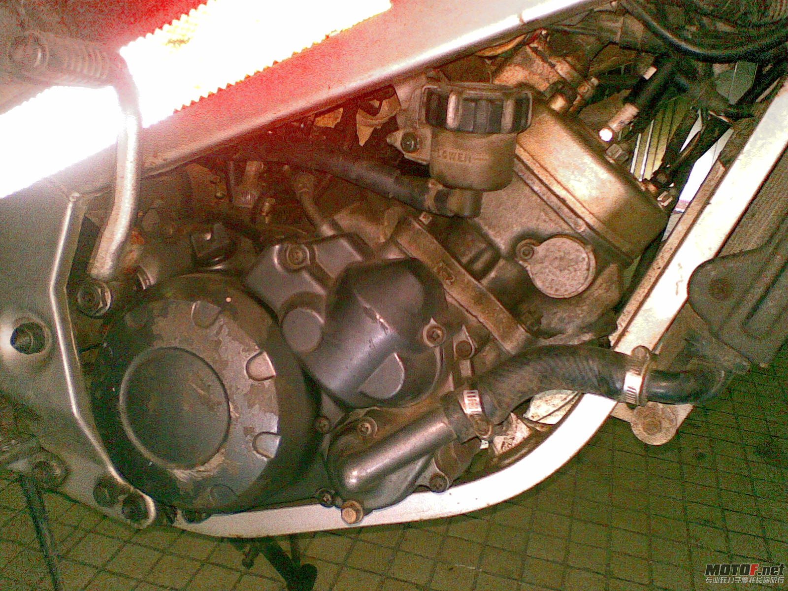 20110407_003.jpg