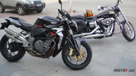 戴娜+MV910R