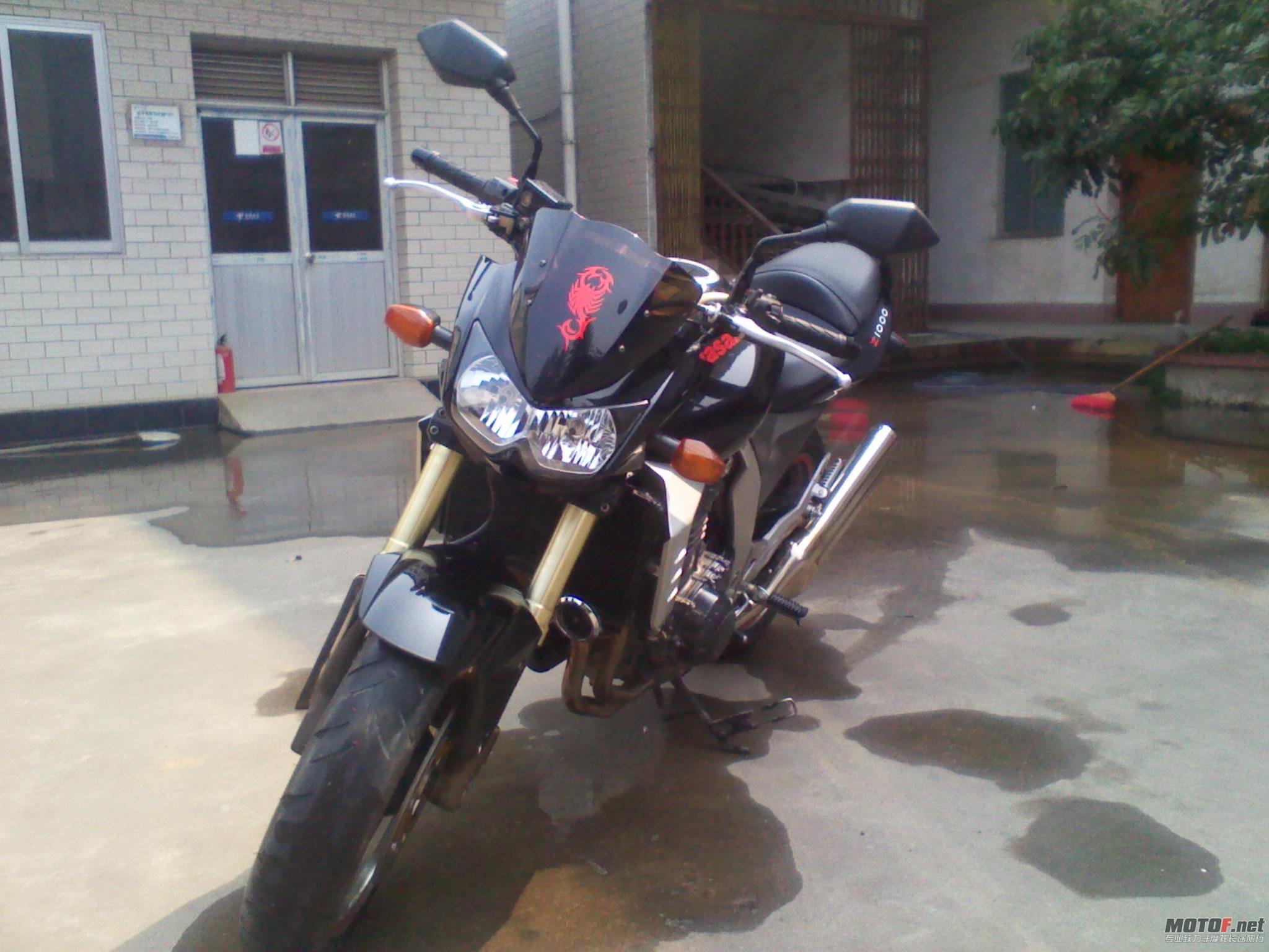 2011-04-12 10.13.38.jpg