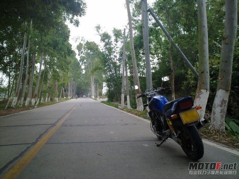 20110413106.jpg
