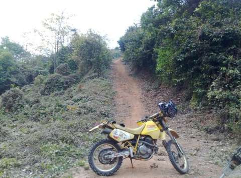 铃木DR250