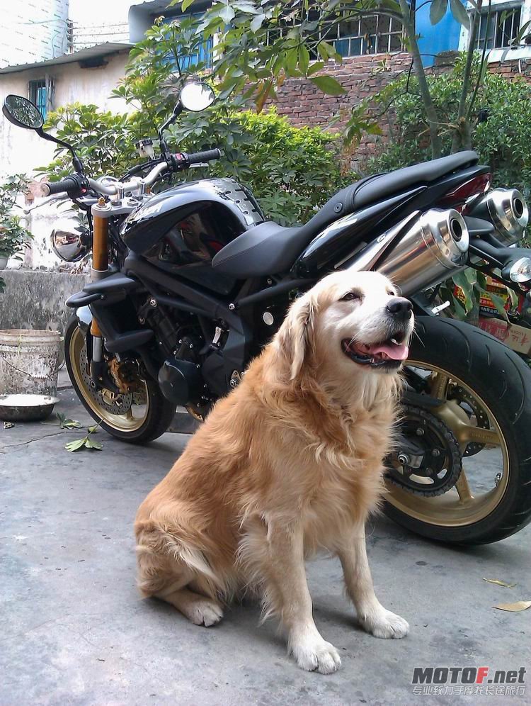 IMAG0018.jpg