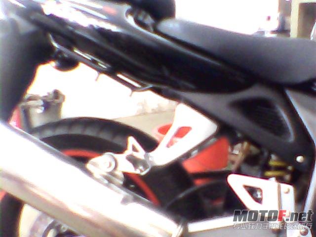 QQ1021437932