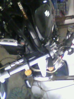 IMG1137A.jpg