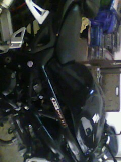 IMG1138A.jpg