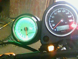 IMG1141A.jpg