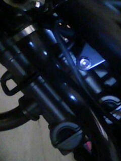 IMG1147A.jpg