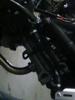 IMG1148A.jpg