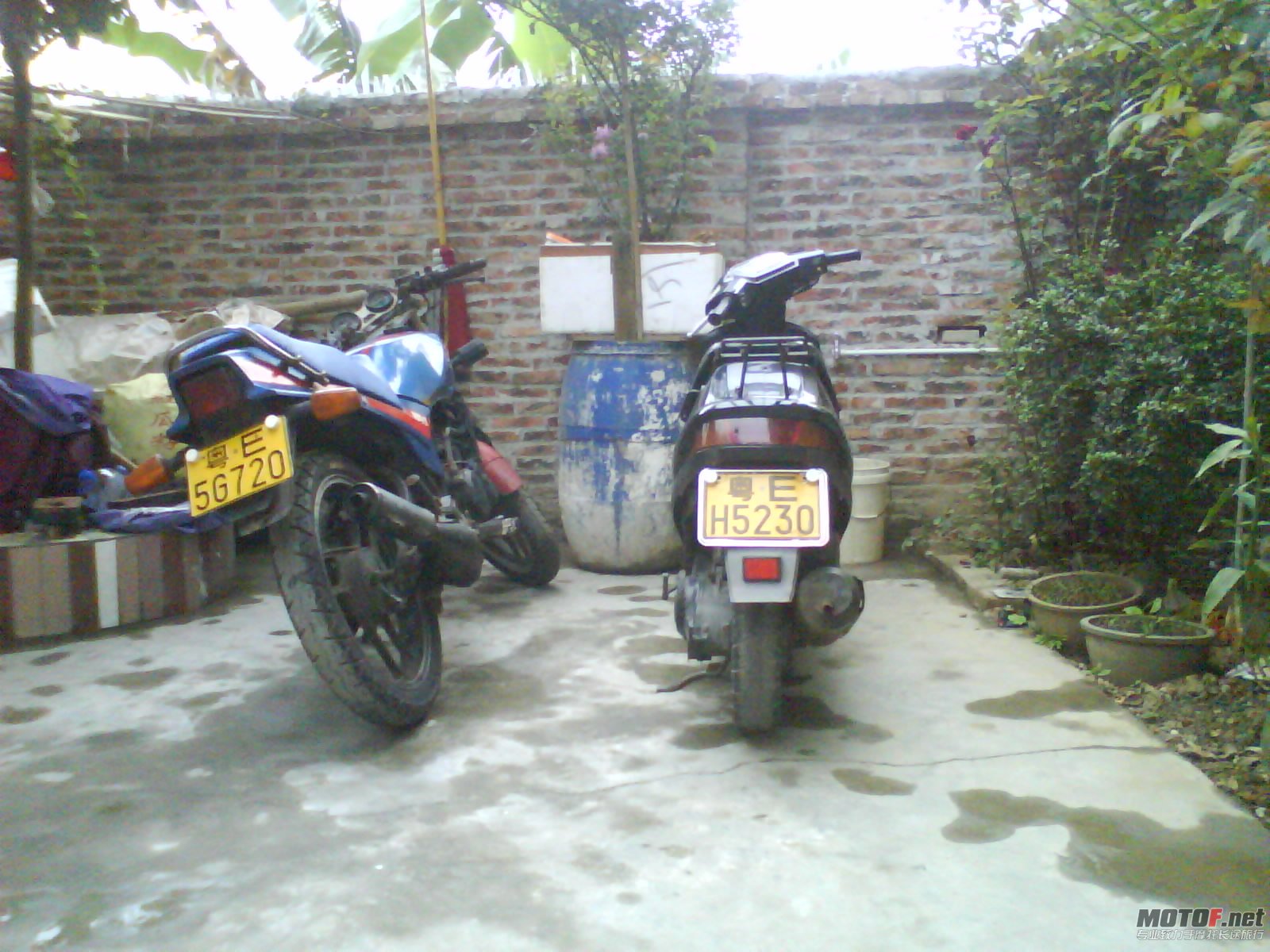 DSC01615.JPG
