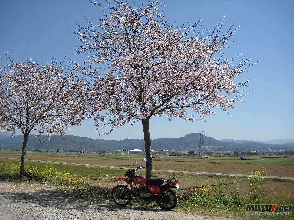out_247_5l.jpg