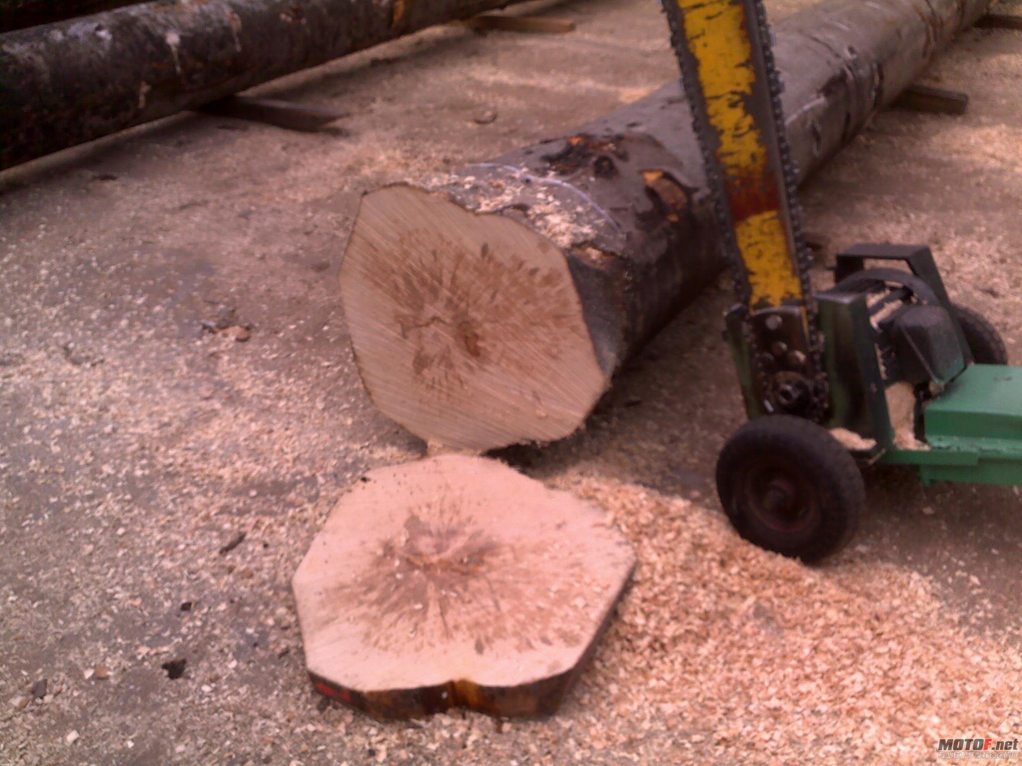 20110415661.jpg