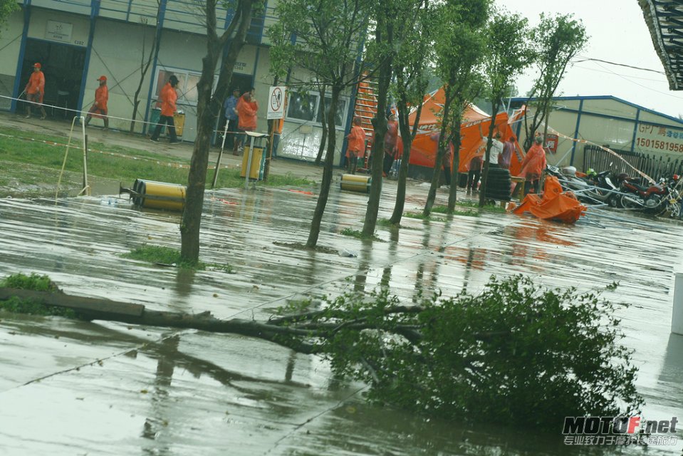 _MG_4151.JPG