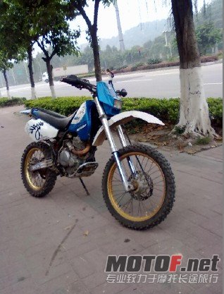 11爬鸡.jpg