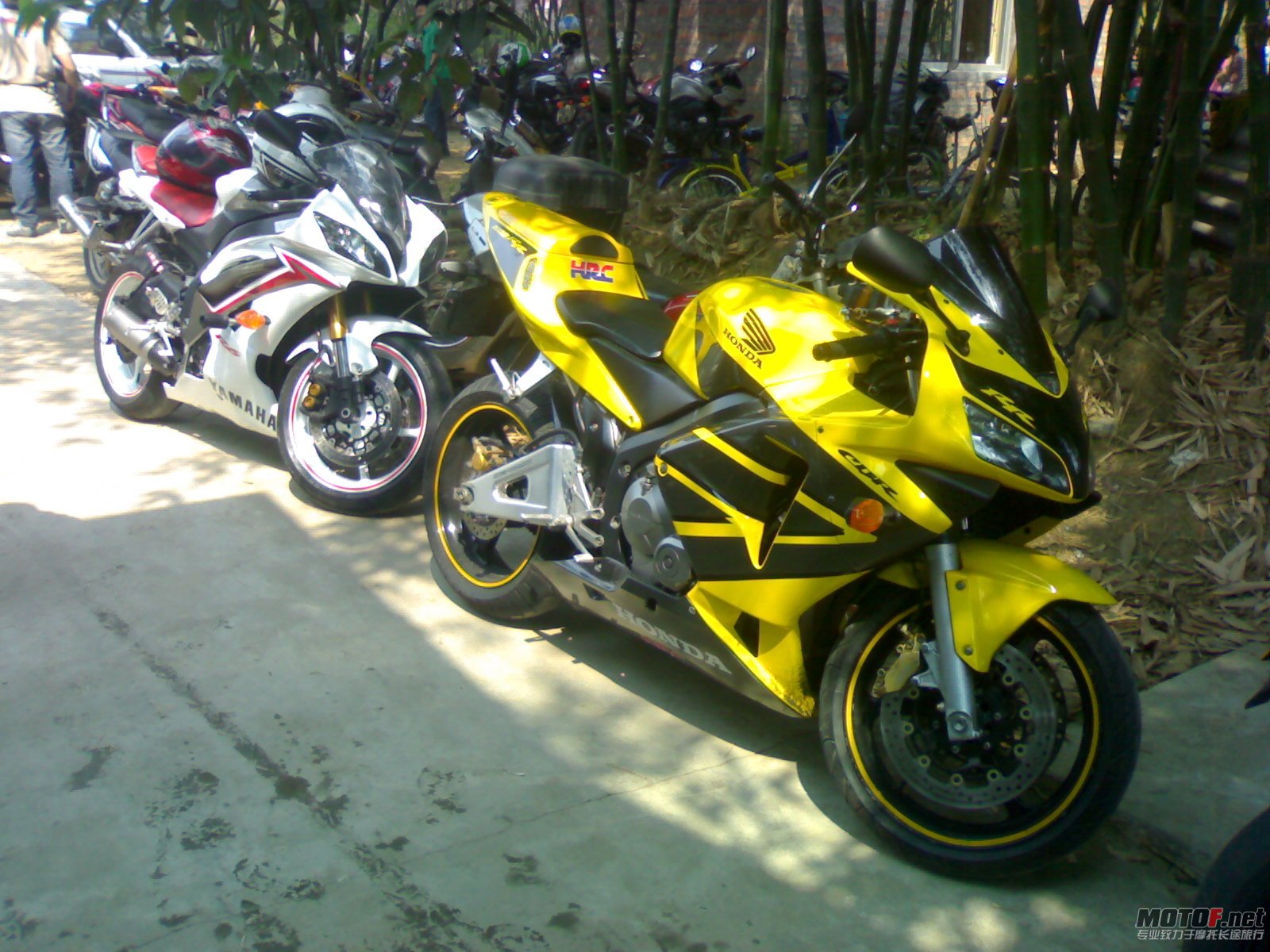 20110424070.jpg