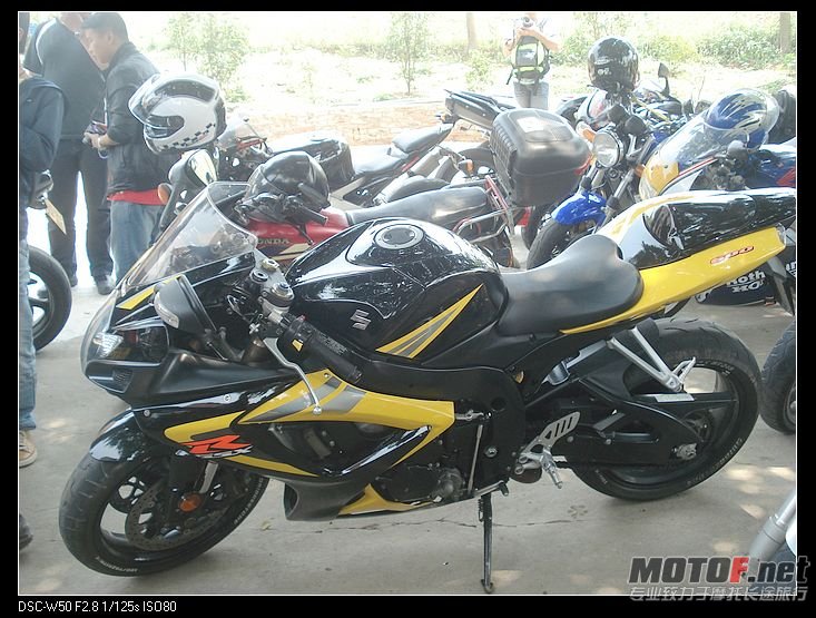 nEO_IMG_DSC02893.jpg