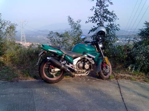 海豚250跑车