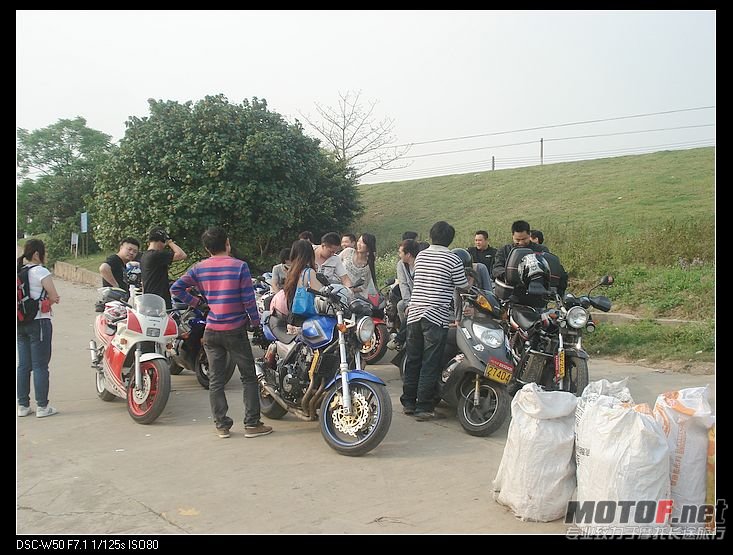nEO_IMG_DSC02983.jpg