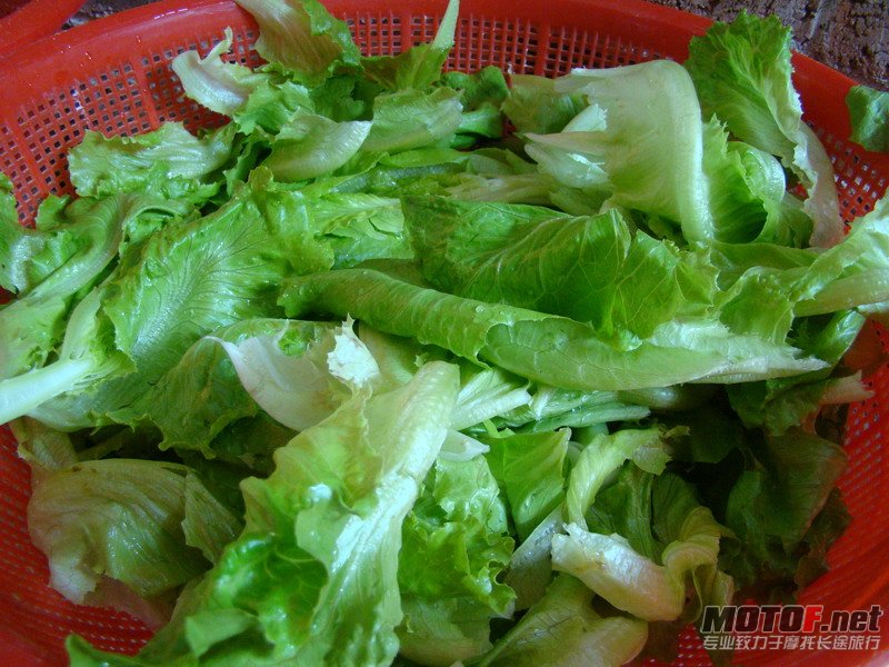 DSC00824_缩小大小.JPG