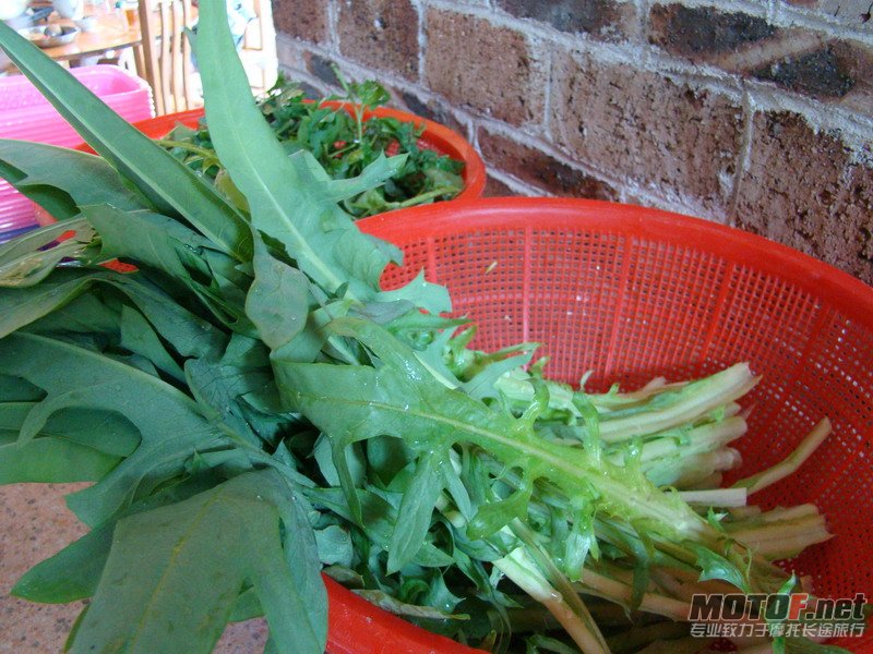 DSC00825_缩小大小.JPG