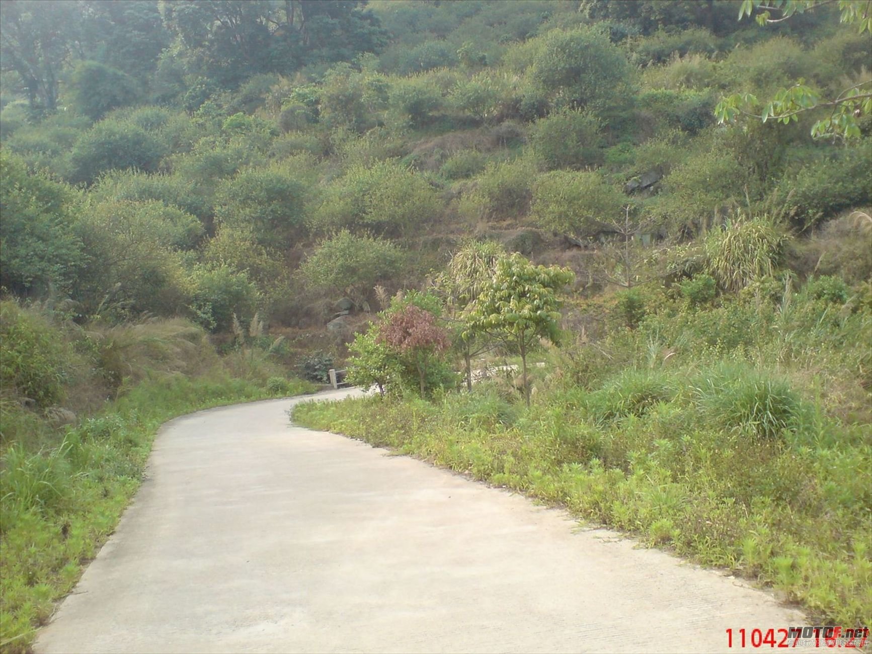 DSC00093.JPG