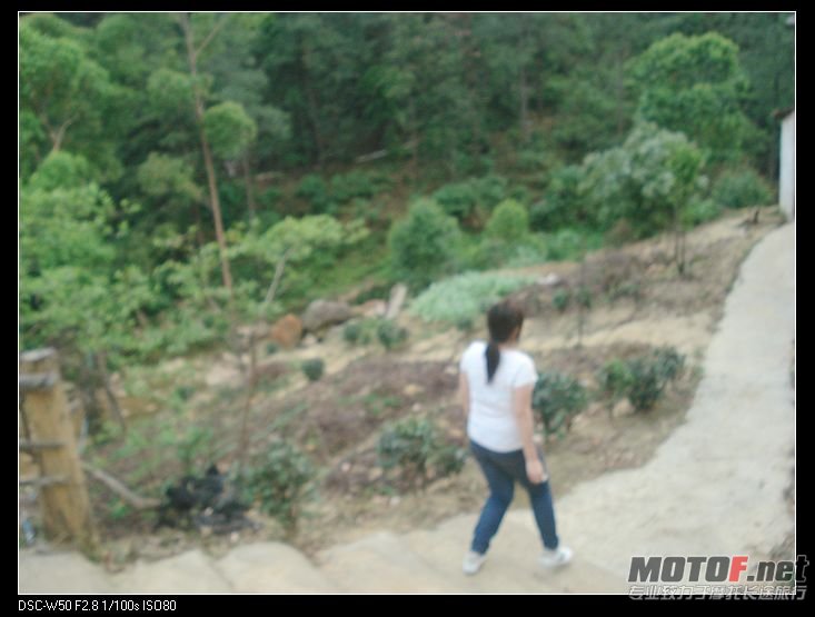 nEO_IMG_DSC03049.jpg