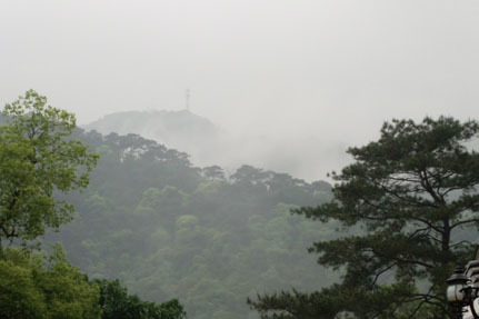 CIMG0960.JPG