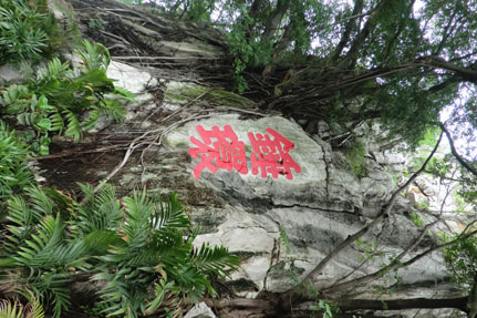 CIMG1194.JPG