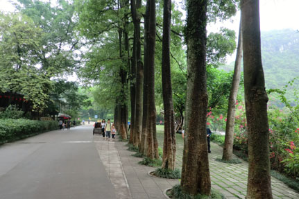 CIMG1305.JPG