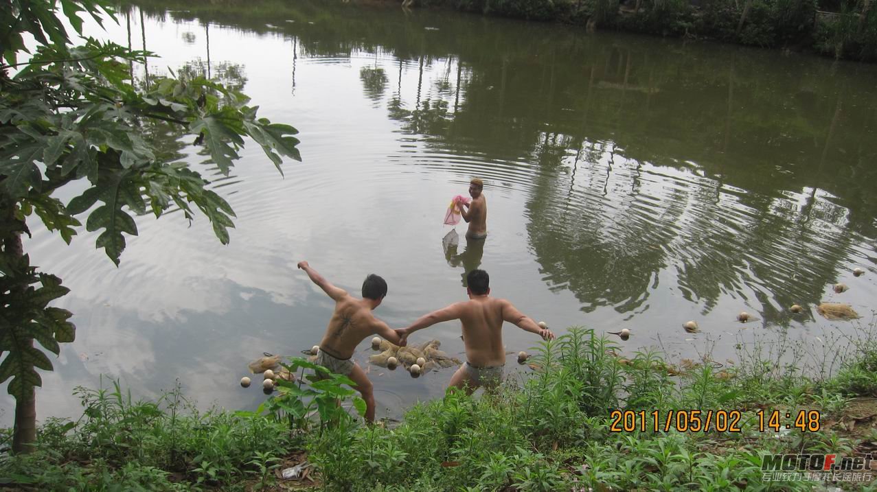 IMG_4647.jpg