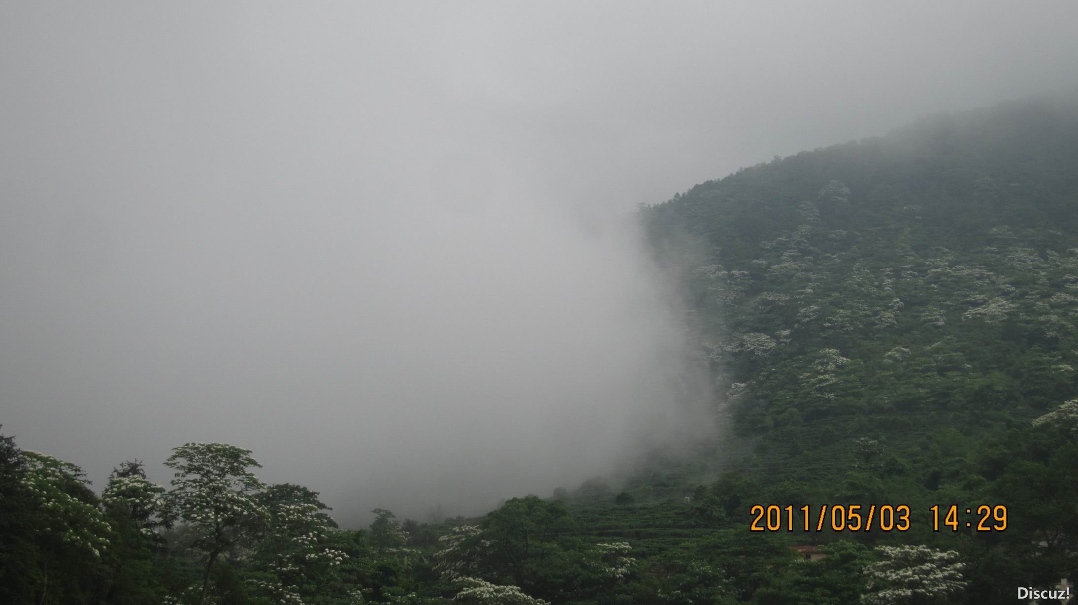 IMG_4703.jpg