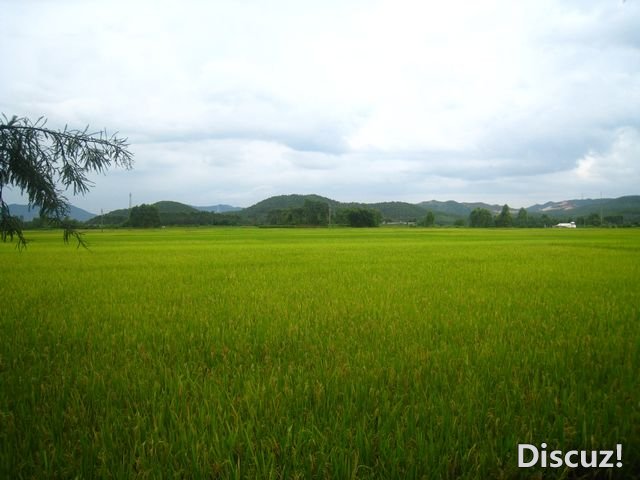 旅游昭片 182.jpg