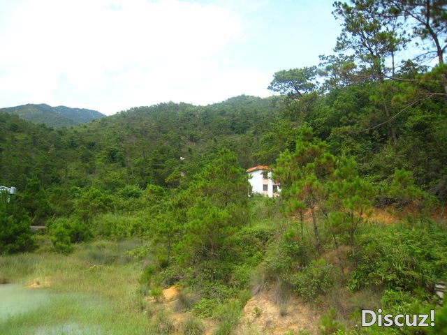 旅游昭片 194.jpg