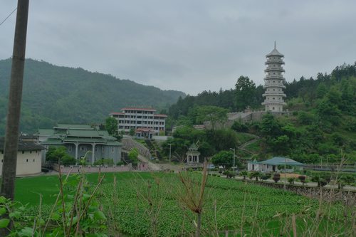P1070683.JPG