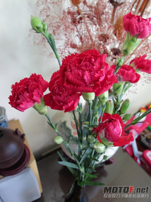 F23_20110508033303196.jpg