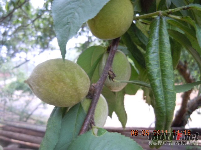 DSCN1113.JPG