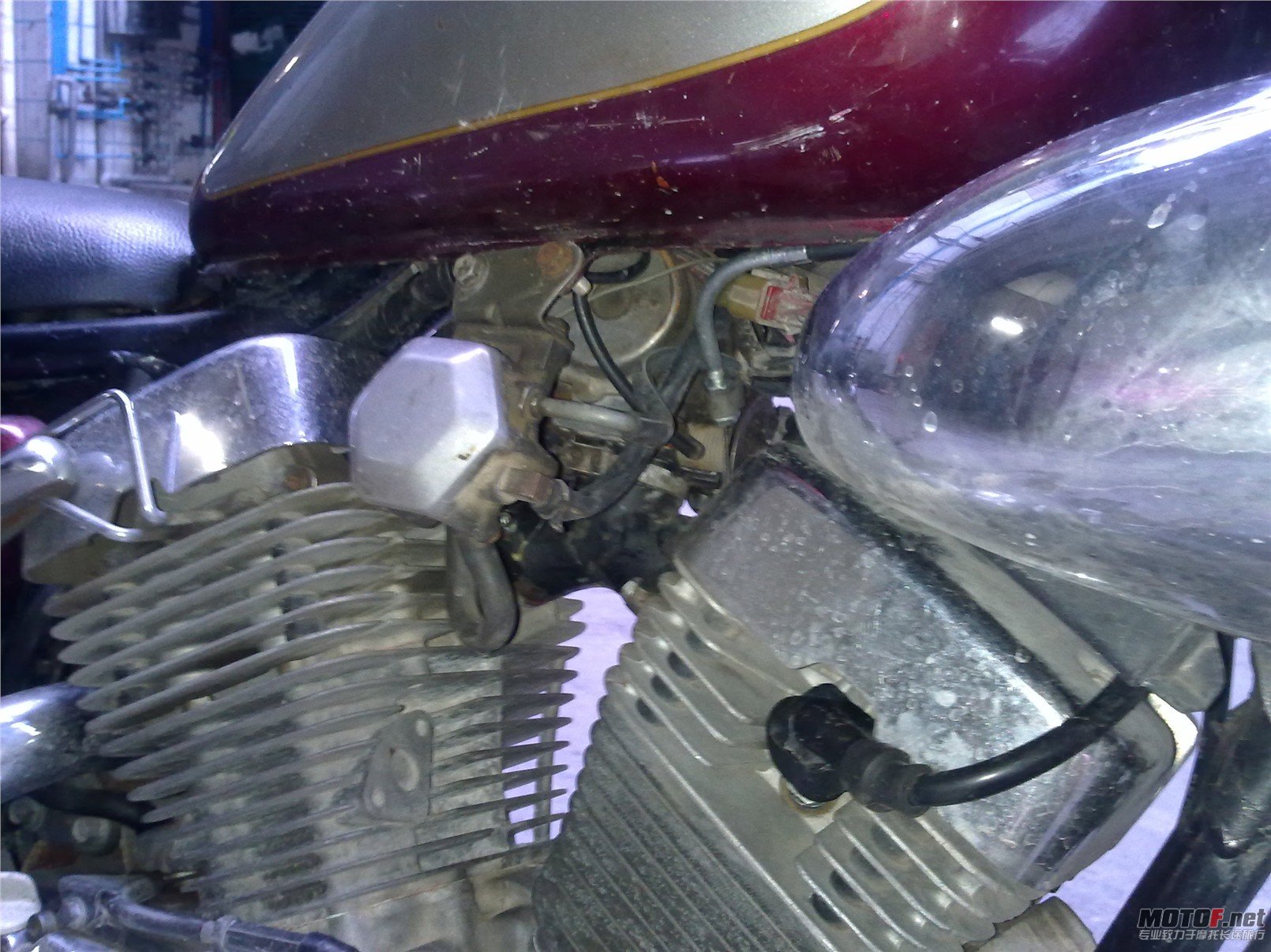 PICer2011591944.jpg