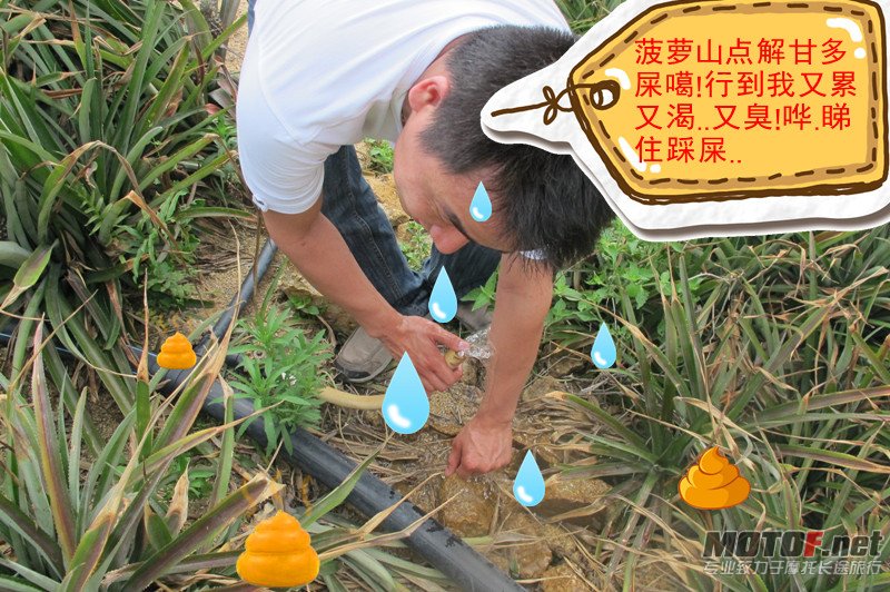 夏湾佬.jpg