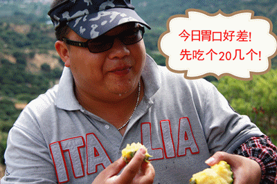 秋哥之菠萝广告.gif