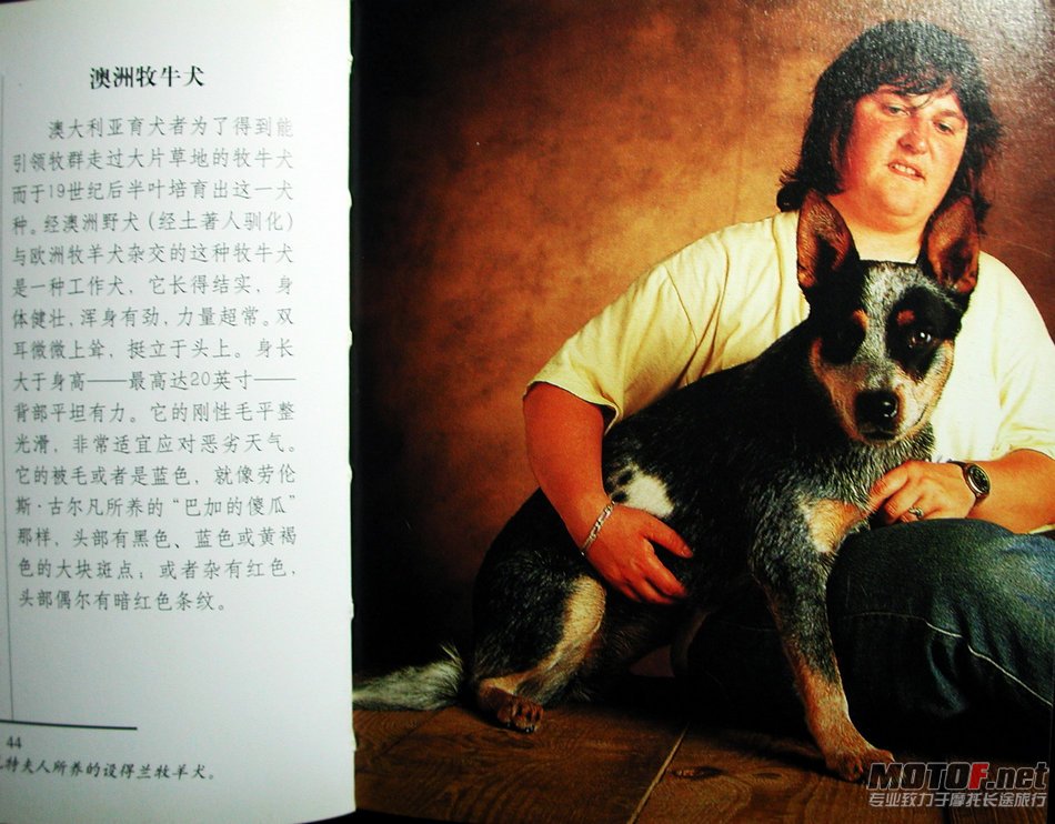 DSCN2249.JPG