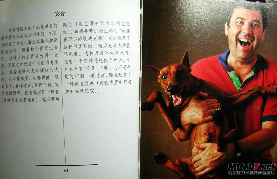 DSCN2250.JPG