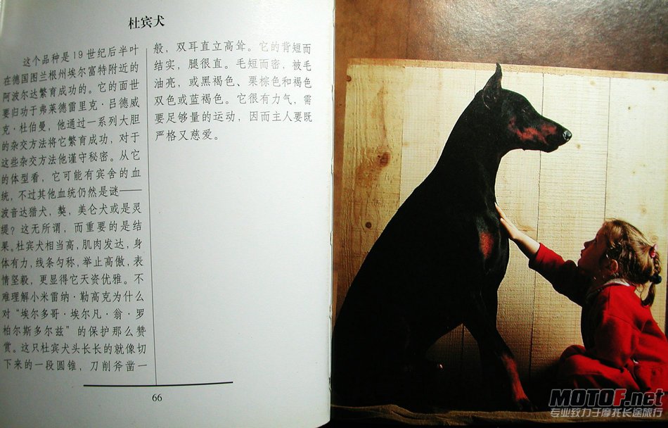 DSCN2251.JPG
