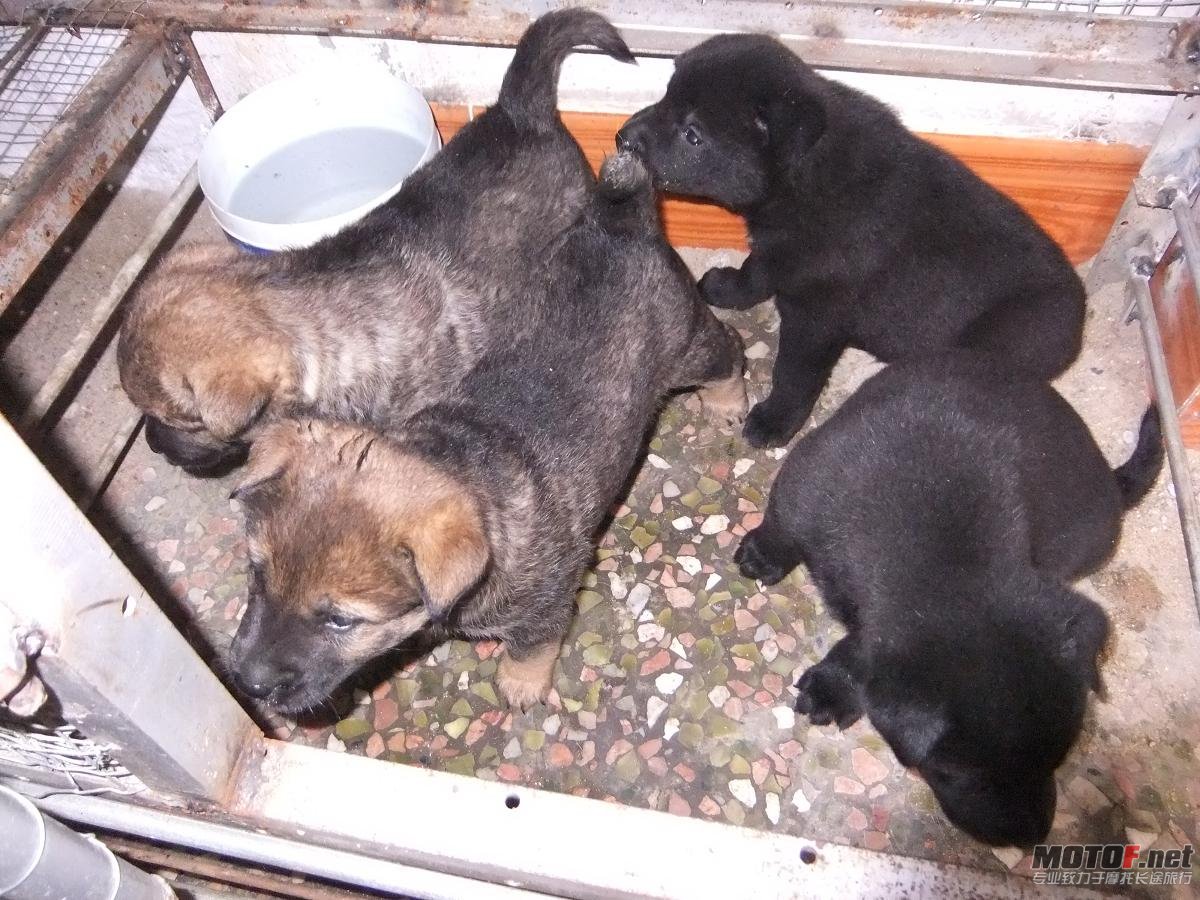 DSCF8540.JPG