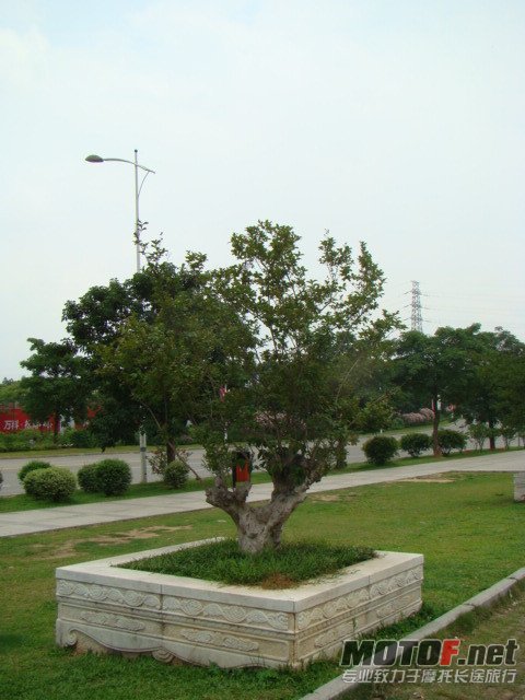 dsc02403_副本.jpg