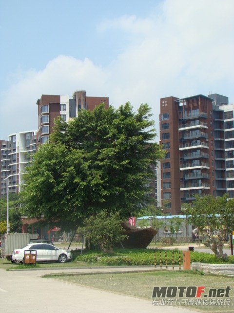 dsc02336_副本.jpg